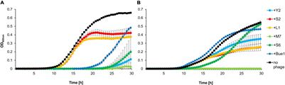 Spontaneous Resistance of Erwinia amylovora Against Bacteriophage Y2 Affects Infectivity of Multiple Phages